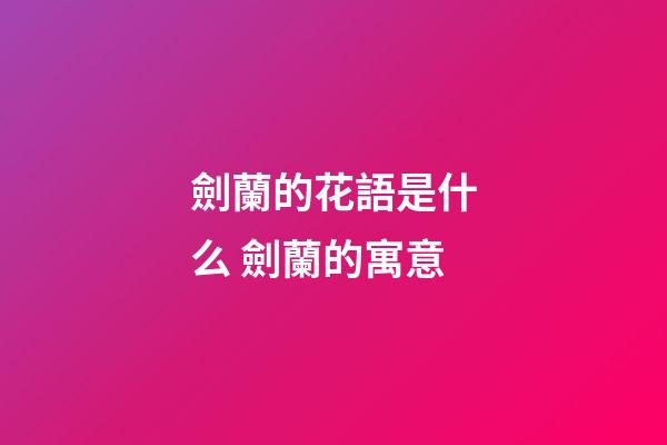 劍蘭的花語是什么 劍蘭的寓意